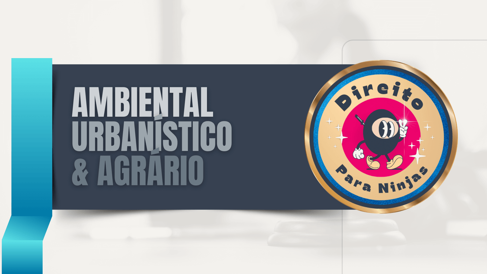 Banner Direito Ambiental Mapeado - Método DPN Direito para Ninjas